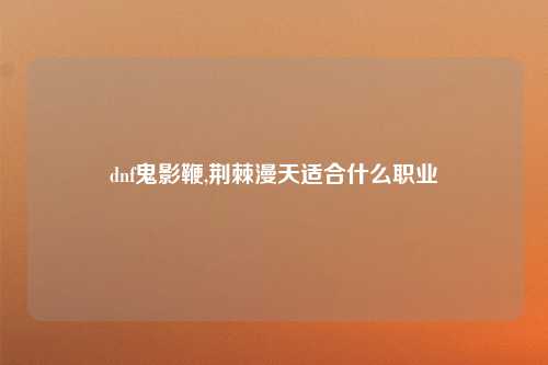 dnf鬼影鞭,荆棘漫天适合什么职业