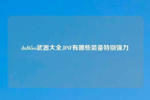 dnf65ss武器大全,DNF有哪些装备特别强力