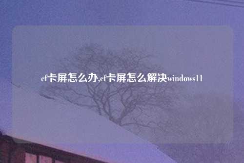 cf卡屏怎么办,cf卡屏怎么解决windows11