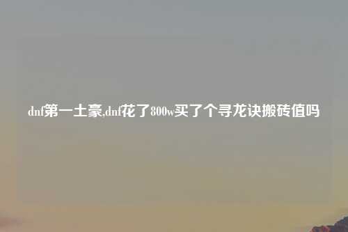 dnf第一土豪,dnf花了800w买了个寻龙诀搬砖值吗