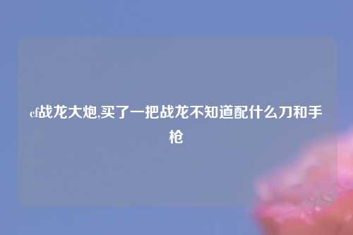 cf战龙大炮,买了一把战龙不知道配什么刀和手枪