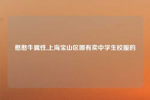 憨憨牛属性,上海宝山区哪有卖中学生校服的