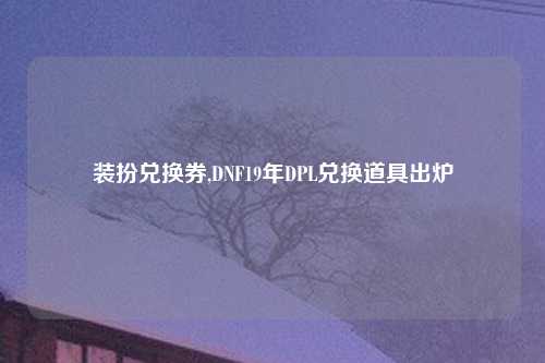 装扮兑换券,DNF19年DPL兑换道具出炉