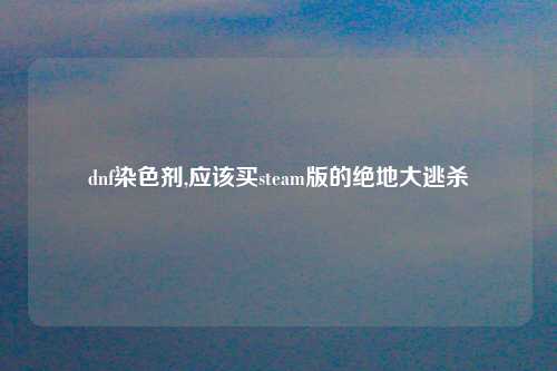 dnf染色剂,应该买steam版的绝地大逃杀