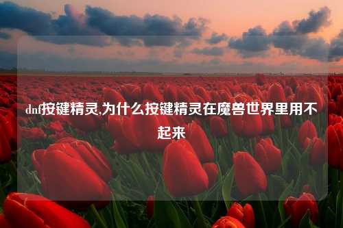 dnf按键精灵,为什么按键精灵在魔兽世界里用不起来