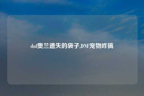 dnf奥兰遗失的袋子,DNF宠物咋搞