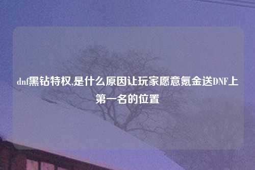 dnf黑钻特权,是什么原因让玩家愿意氪金送DNF上第一名的位置
