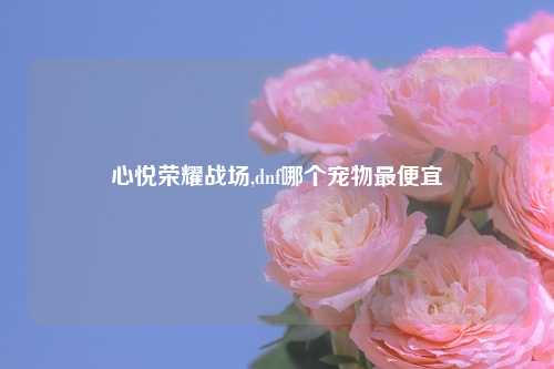 心悦荣耀战场,dnf哪个宠物最便宜