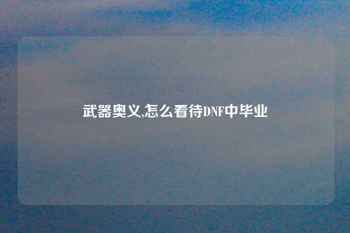 武器奥义,怎么看待DNF中毕业