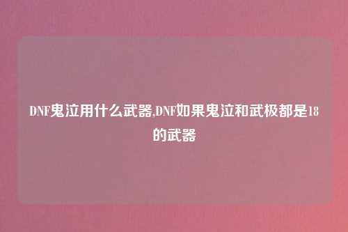 DNF鬼泣用什么武器,DNF如果鬼泣和武极都是18的武器