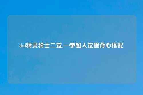 dnf精灵骑士二觉,一拳超人觉醒背心搭配