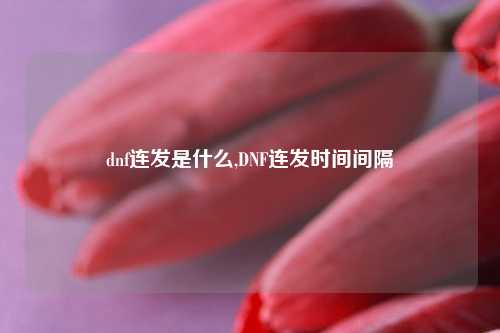 dnf连发是什么,DNF连发时间间隔