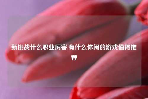 新挑战什么职业厉害,有什么休闲的游戏值得推荐