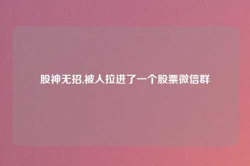 股神无招,被人拉进了一个股票微信群