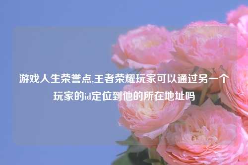 游戏人生荣誉点,王者荣耀玩家可以通过另一个玩家的id定位到他的所在地址吗