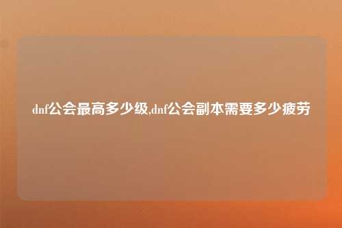 dnf公会最高多少级,dnf公会副本需要多少疲劳