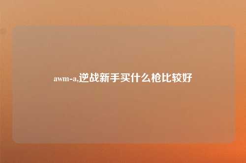 awm-a,逆战新手买什么枪比较好