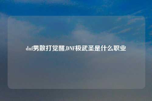 dnf男散打觉醒,DNF极武圣是什么职业