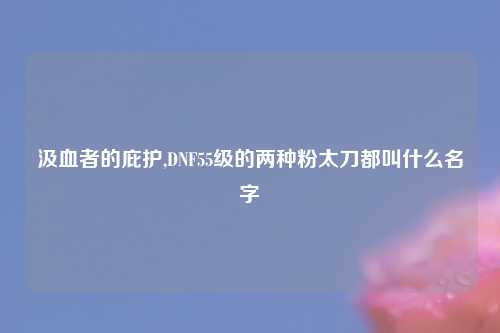 汲血者的庇护,DNF55级的两种粉太刀都叫什么名字