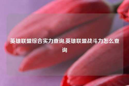 英雄联盟综合实力查询,英雄联盟战斗力怎么查询