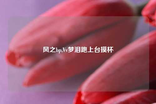 风之bp,Vv梦泪跑上台摸杯