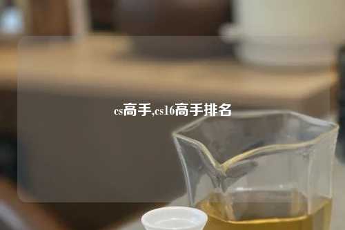 cs高手,cs16高手排名