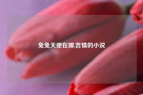 兔兔天使在哪,言情的小说