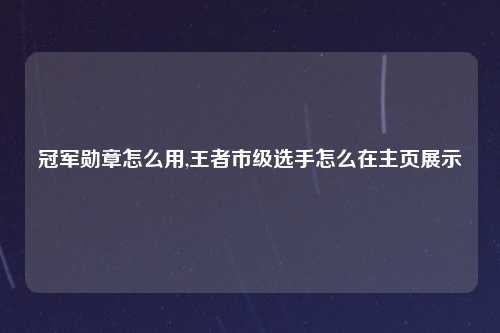 冠军勋章怎么用,王者市级选手怎么在主页展示