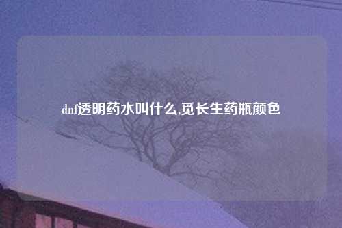 dnf透明药水叫什么,觅长生药瓶颜色
