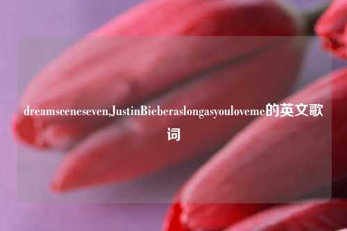 dreamsceneseven,JustinBieberaslongasyouloveme的英文歌词