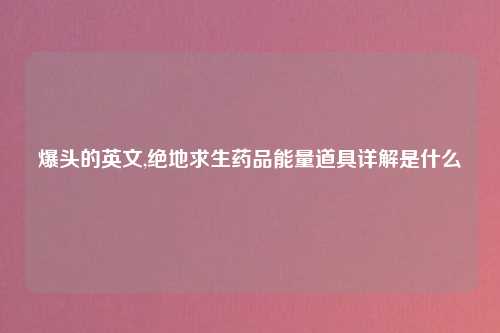 爆头的英文,绝地求生药品能量道具详解是什么