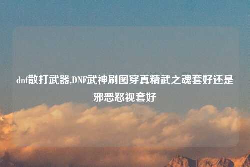 dnf散打武器,DNF武神刷图穿真精武之魂套好还是邪恶怒视套好