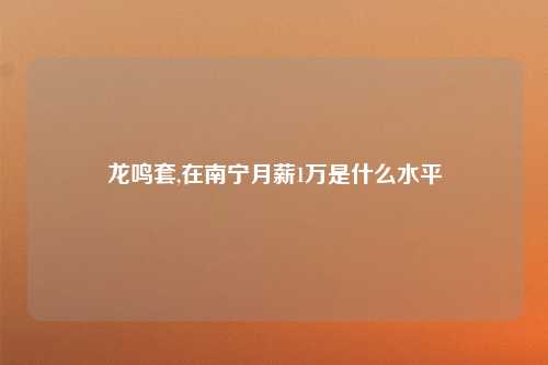 龙鸣套,在南宁月薪1万是什么水平