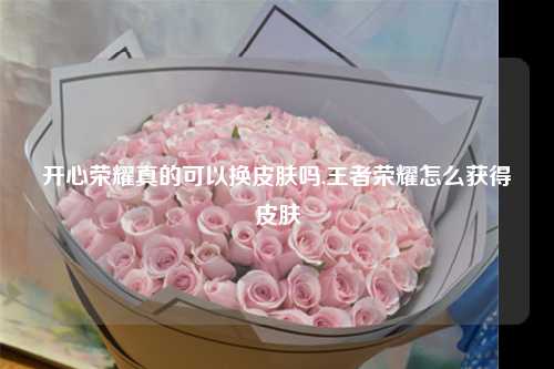开心荣耀真的可以换皮肤吗,王者荣耀怎么获得皮肤