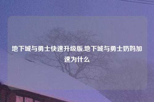 地下城与勇士快速升级版,地下城与勇士奶妈加速为什么