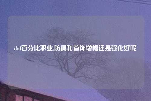dnf百分比职业,防具和首饰增幅还是强化好呢