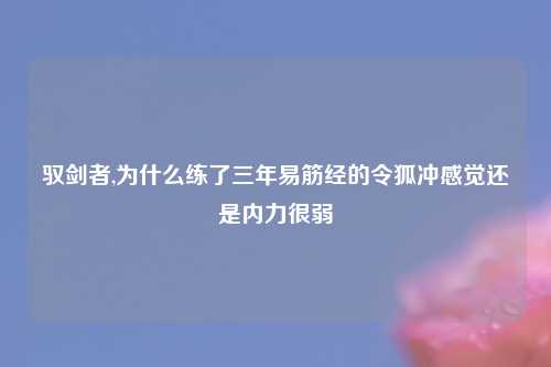 驭剑者,为什么练了三年易筋经的令狐冲感觉还是内力很弱