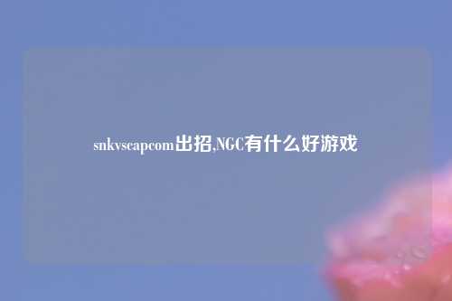 snkvscapcom出招,NGC有什么好游戏