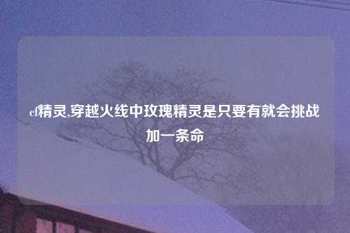 cf精灵,穿越火线中玫瑰精灵是只要有就会挑战加一条命
