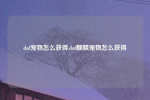 dnf宠物怎么获得,dnf麒麟宠物怎么获得