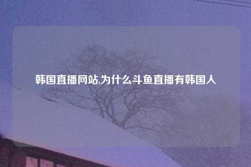 韩国直播网站,为什么斗鱼直播有韩国人