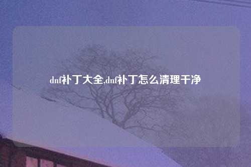 dnf补丁大全,dnf补丁怎么清理干净