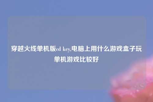 穿越火线单机版cd key,电脑上用什么游戏盒子玩单机游戏比较好