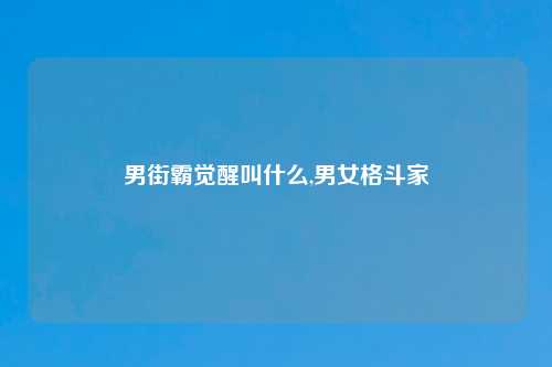 男街霸觉醒叫什么,男女格斗家