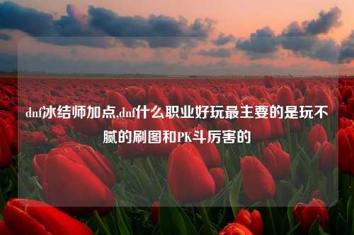 dnf冰结师加点,dnf什么职业好玩最主要的是玩不腻的刷图和PK斗厉害的