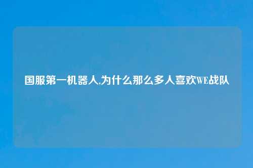 国服第一机器人,为什么那么多人喜欢WE战队