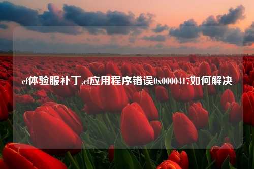 cf体验服补丁,cf应用程序错误0x0000417如何解决