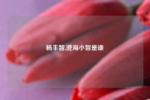 杨丰智,澄海小智是谁