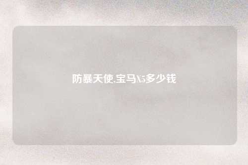 防暴天使,宝马X5多少钱