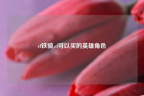 cf铁骑,cf可以买的英雄角色